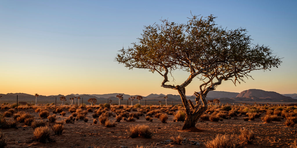 solar-and-power-energie-einfach-und-unabh-ngig